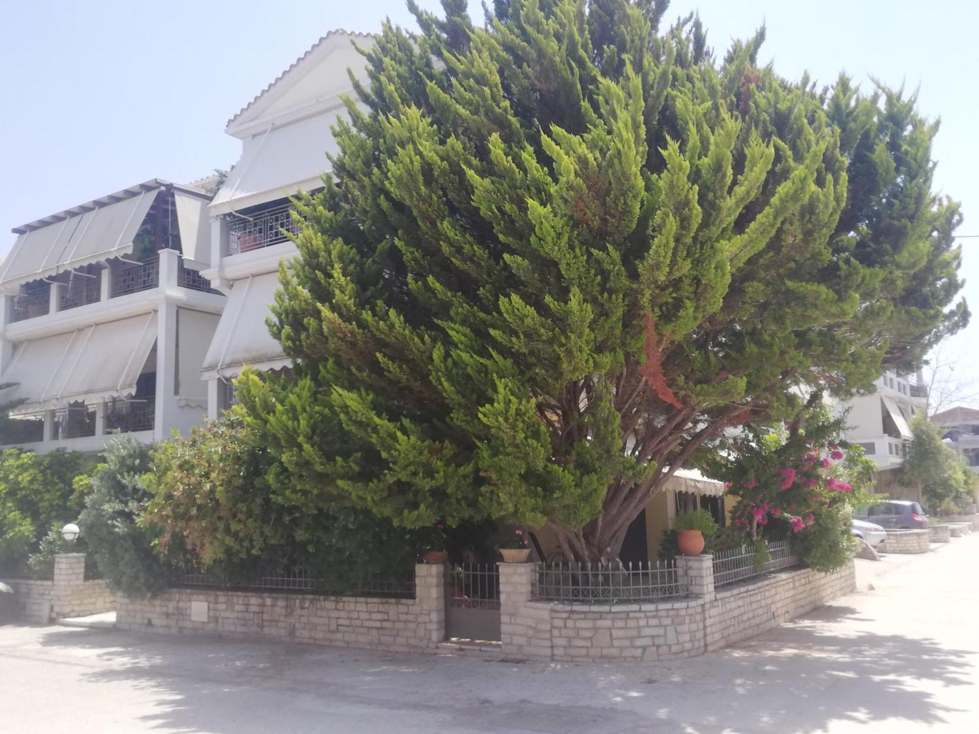 Vkastri City Lefkáda Dış mekan fotoğraf
