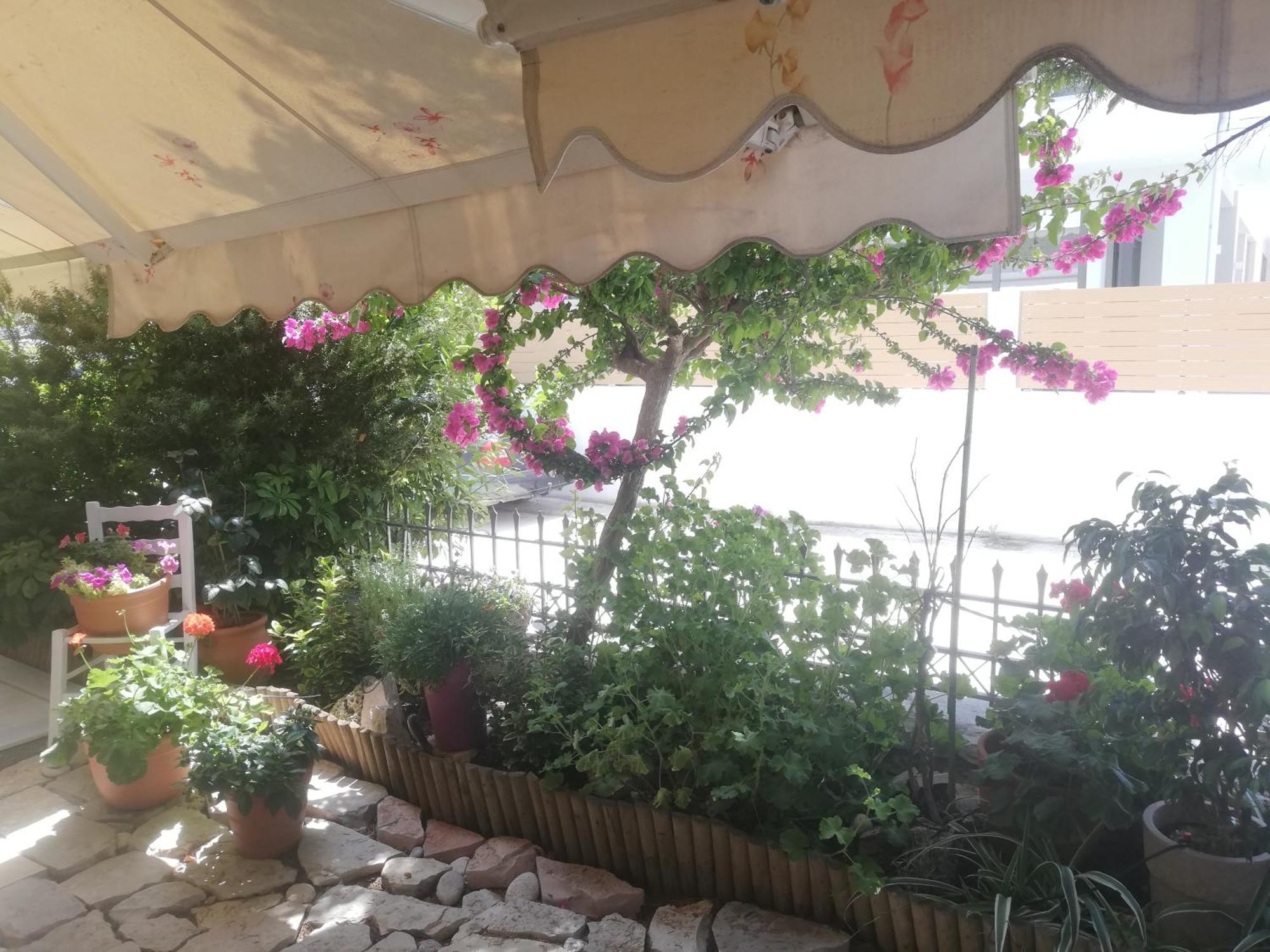 Vkastri City Lefkáda Oda fotoğraf